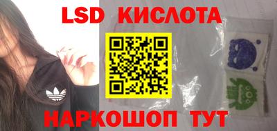 ешки Бийск